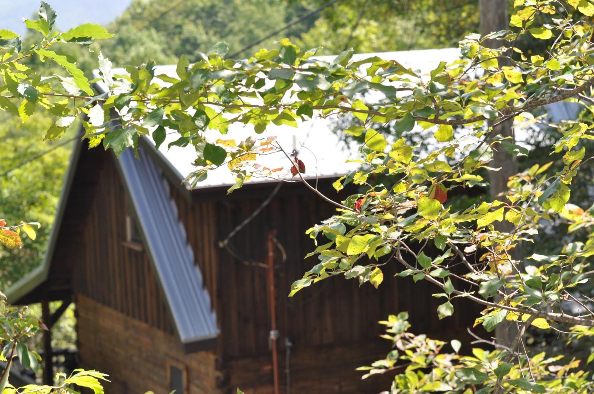 Bears Among Us Vila Gatlinburg Exterior foto
